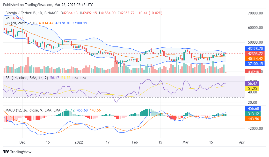 Bitcoin price analysis