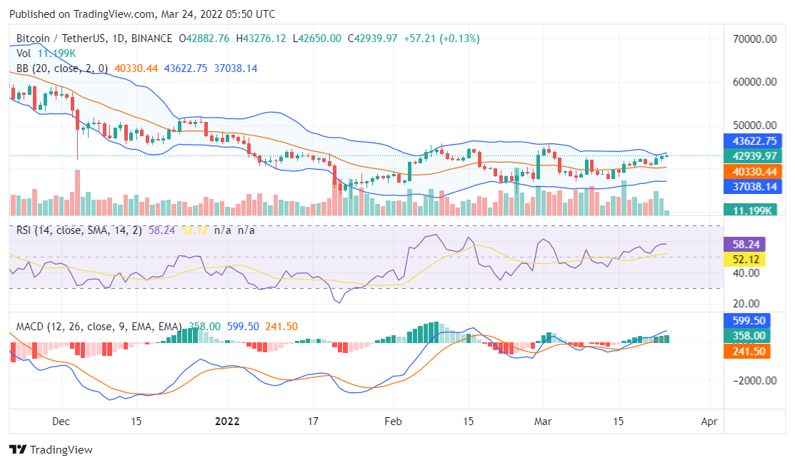 Bitcoin price analysis