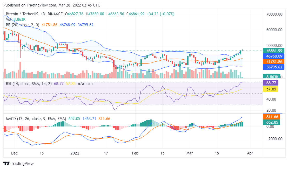 Bitcoin price analysis
