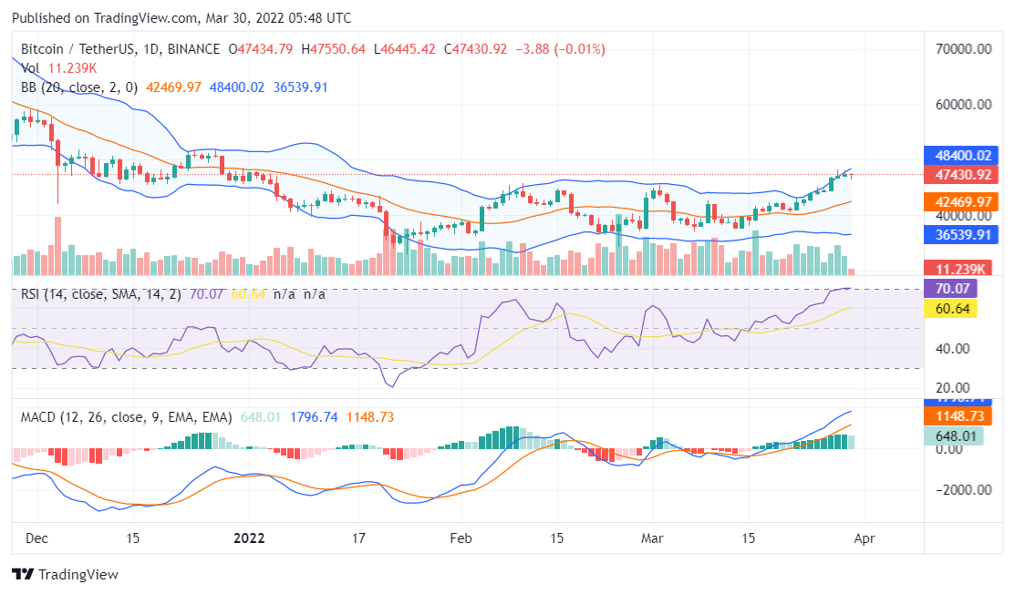 Bitcoin price analysis