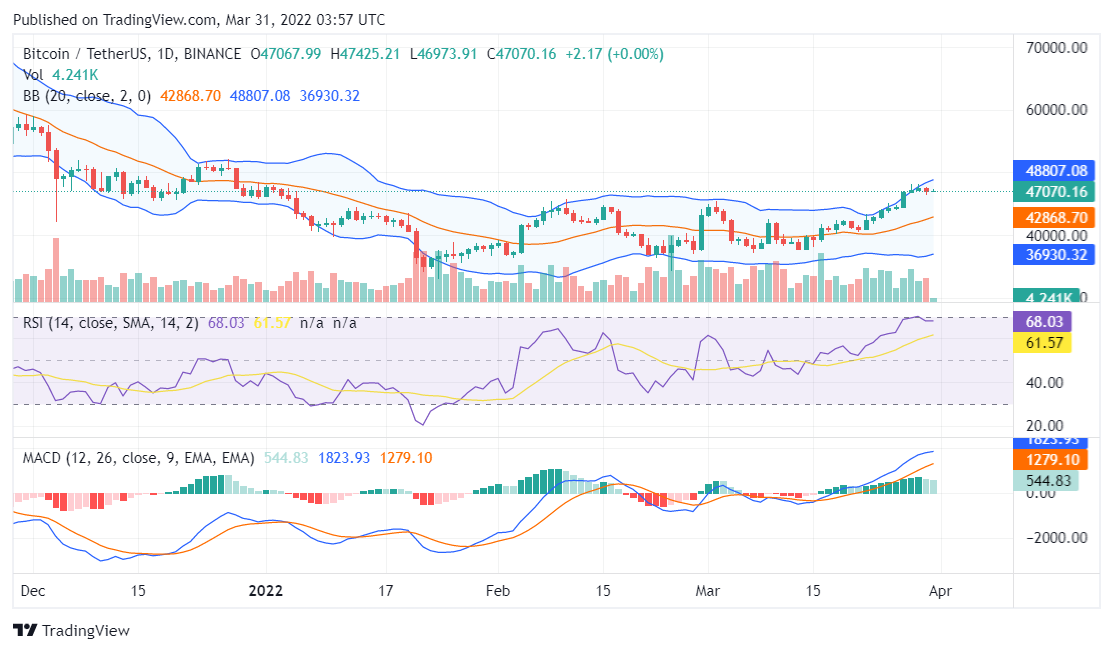 Bitcoin price analysis