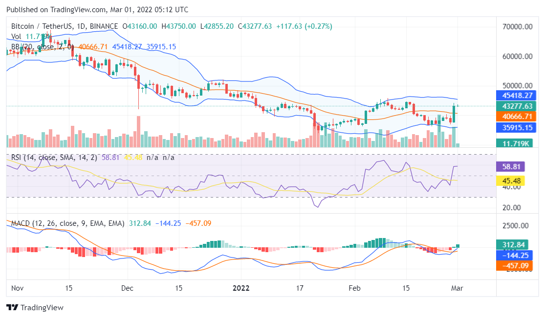 Bitcoin price analysis