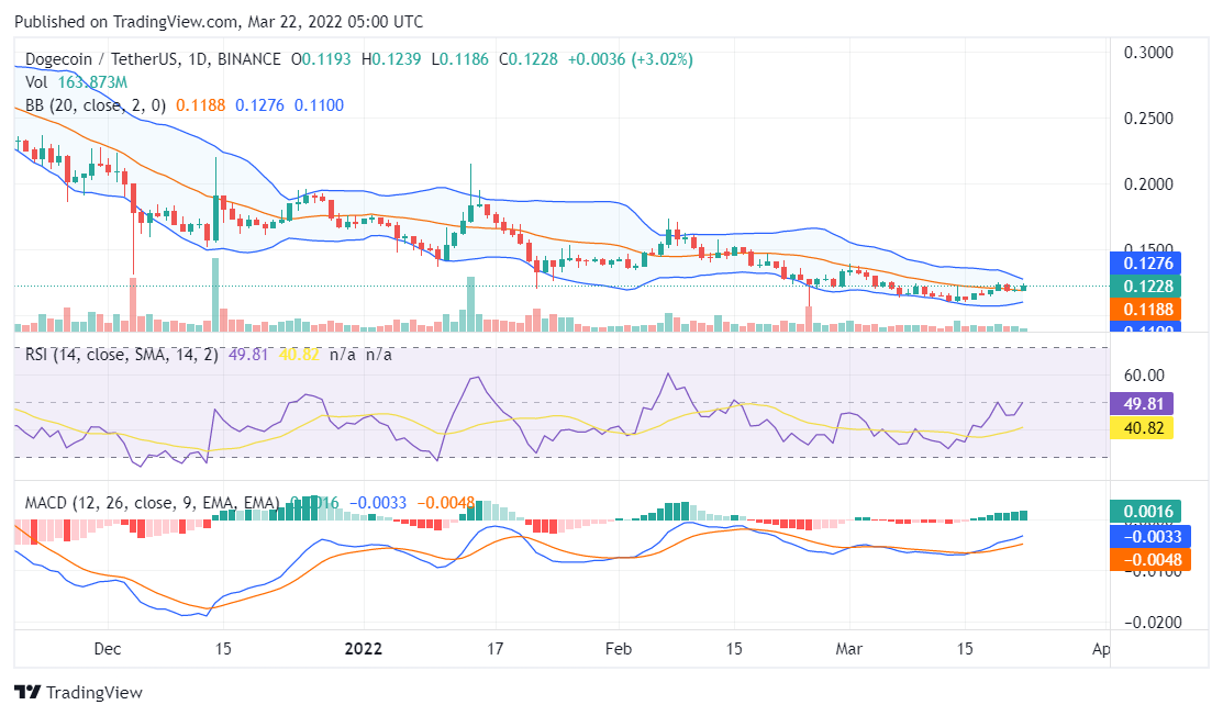 Dogecoin price analysis