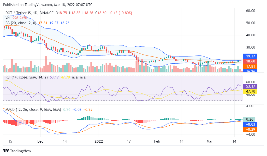 Polkadot price analysis