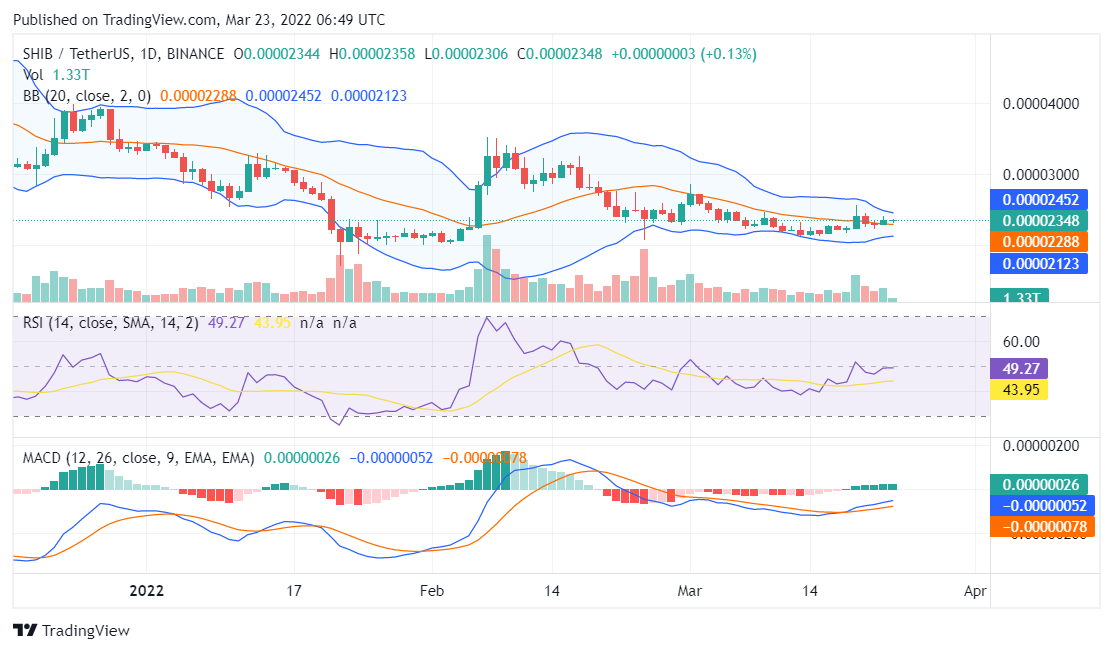Shiba Inu price analysis