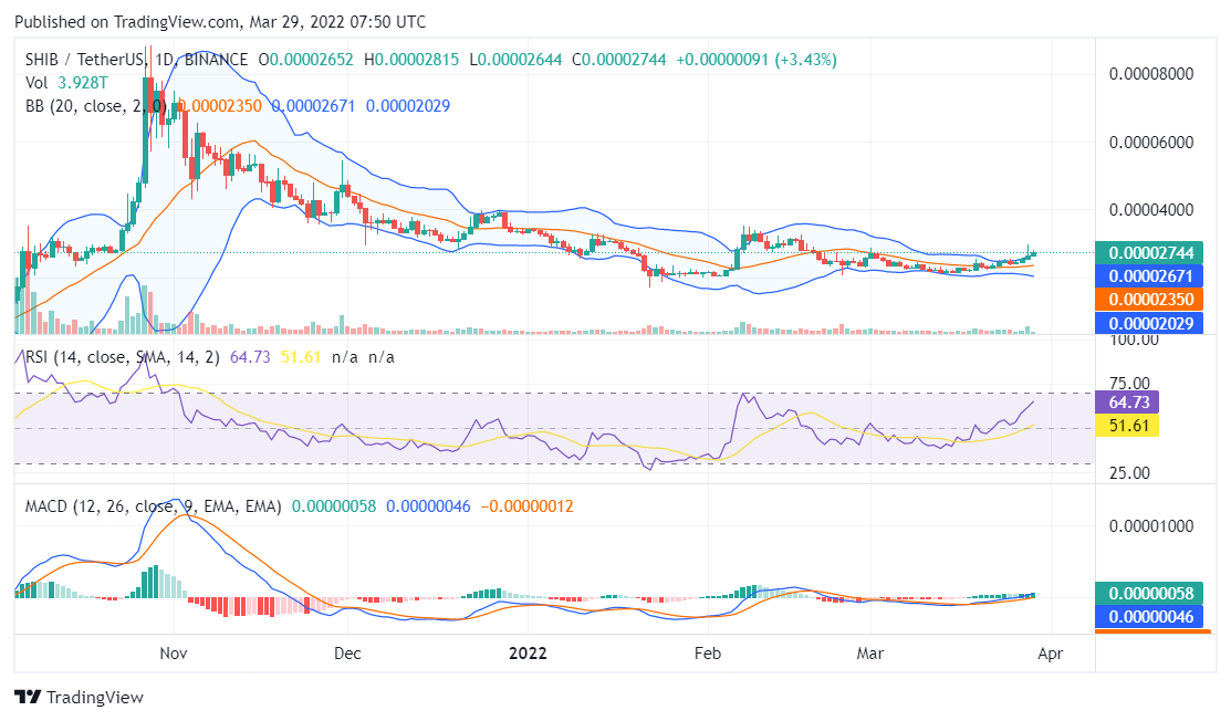 Shiba Inu price analysis