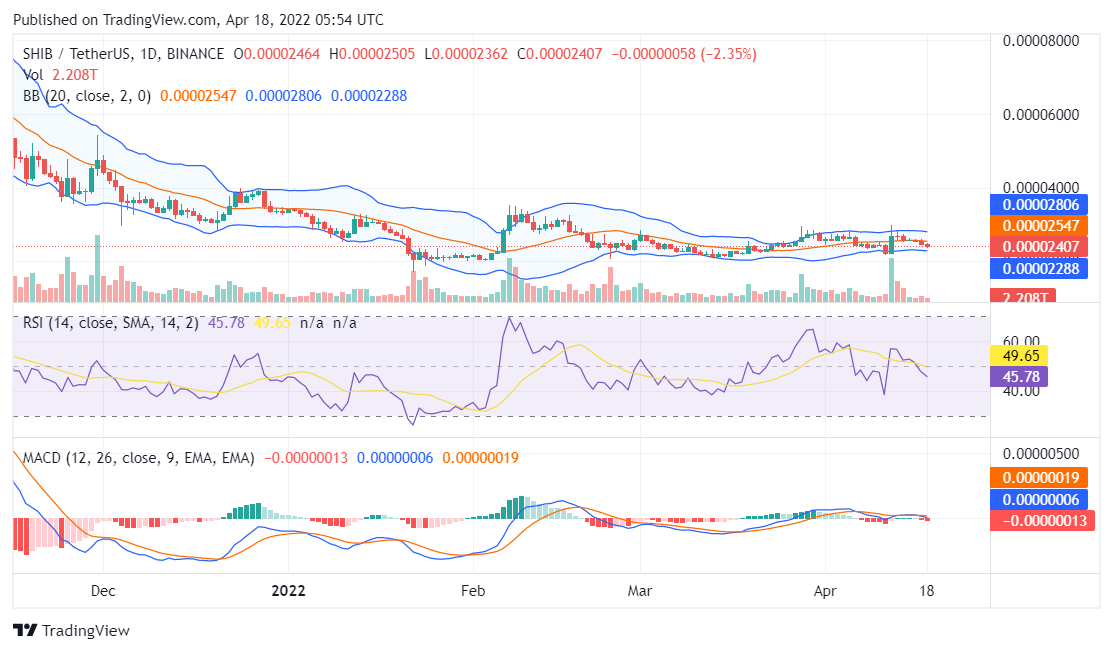 Shiba Inu price analysis