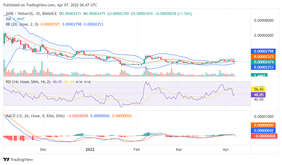 Shiba Inu price analysis