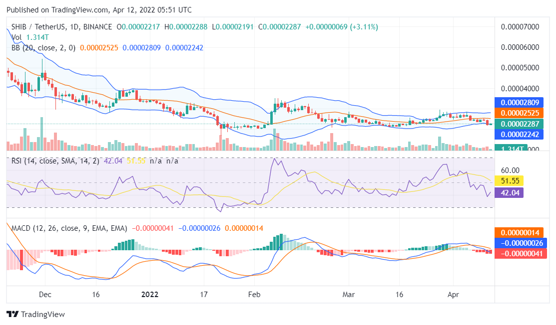 Shiba Inu price analysis