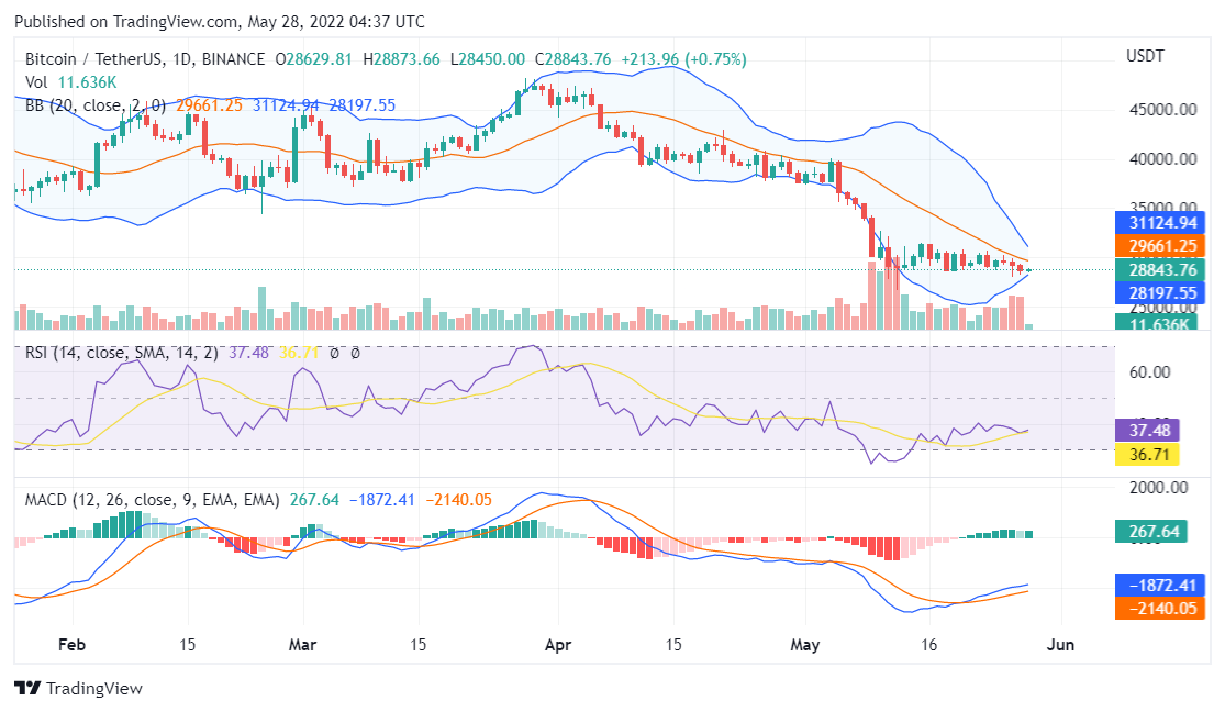 Bitcoin price analysis