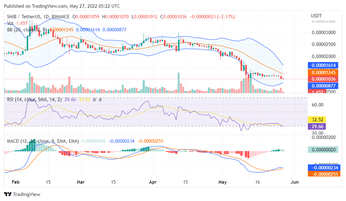 Shiba Inu price analysis