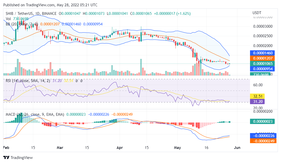 Shiba Inu price analysis