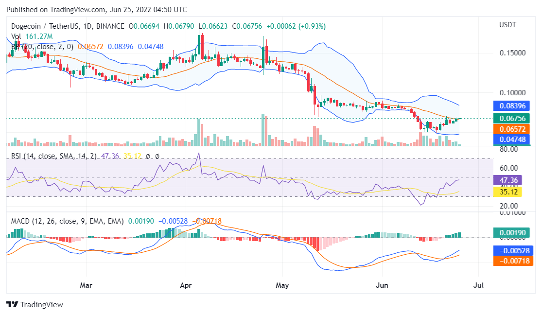Dogecoin price analysis