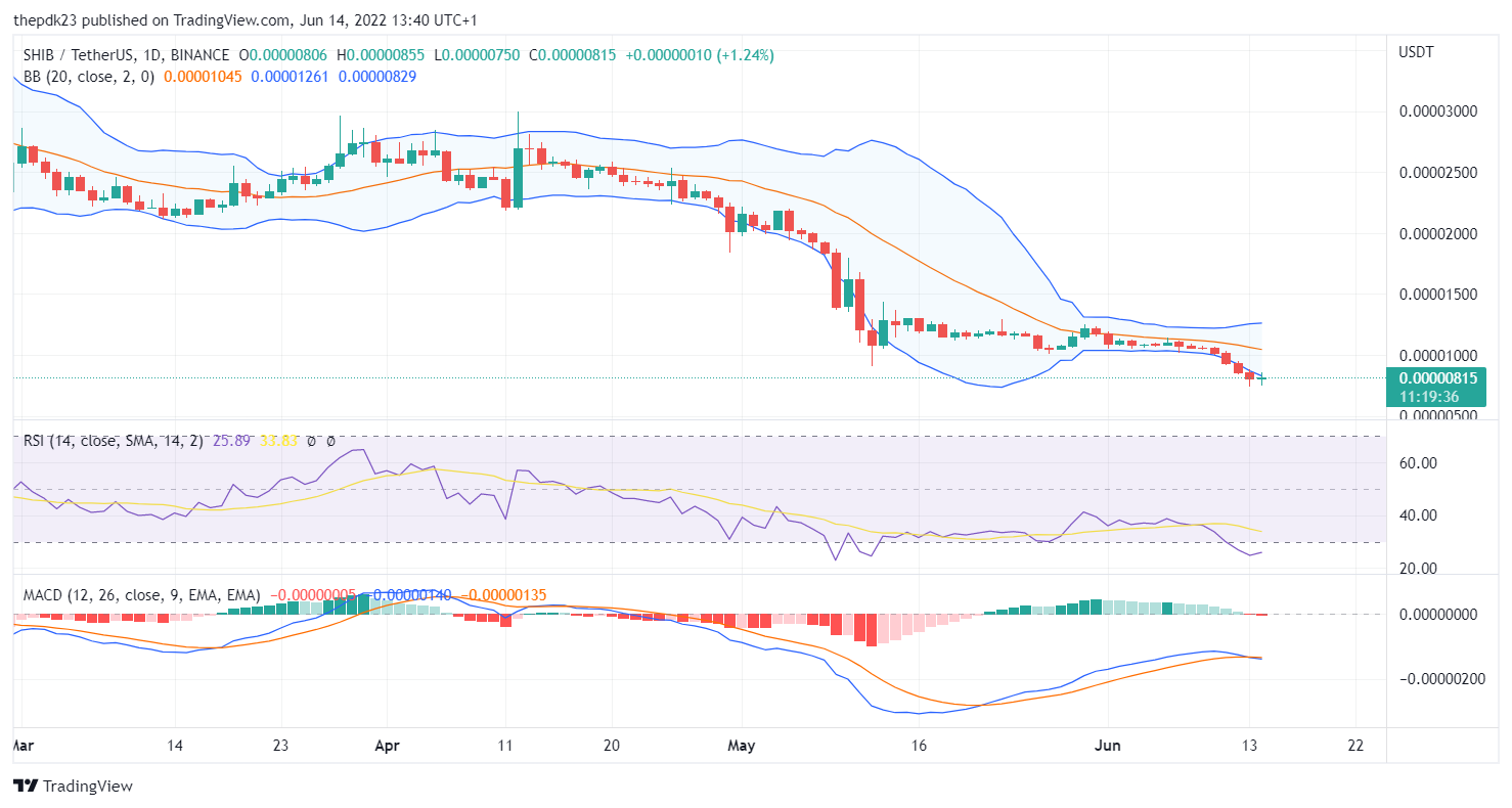 Shiba Inu price analysis