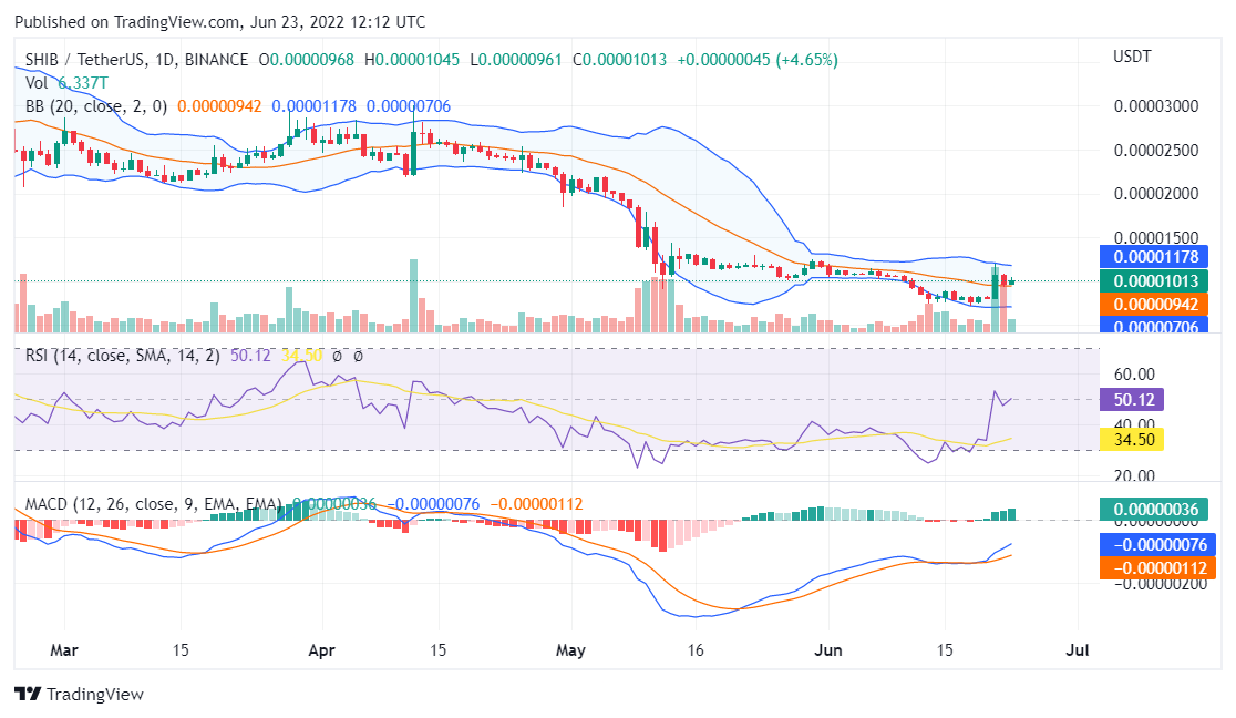 Shiba Inu price analysis