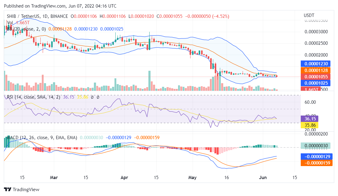 Shiba Inu price analysis