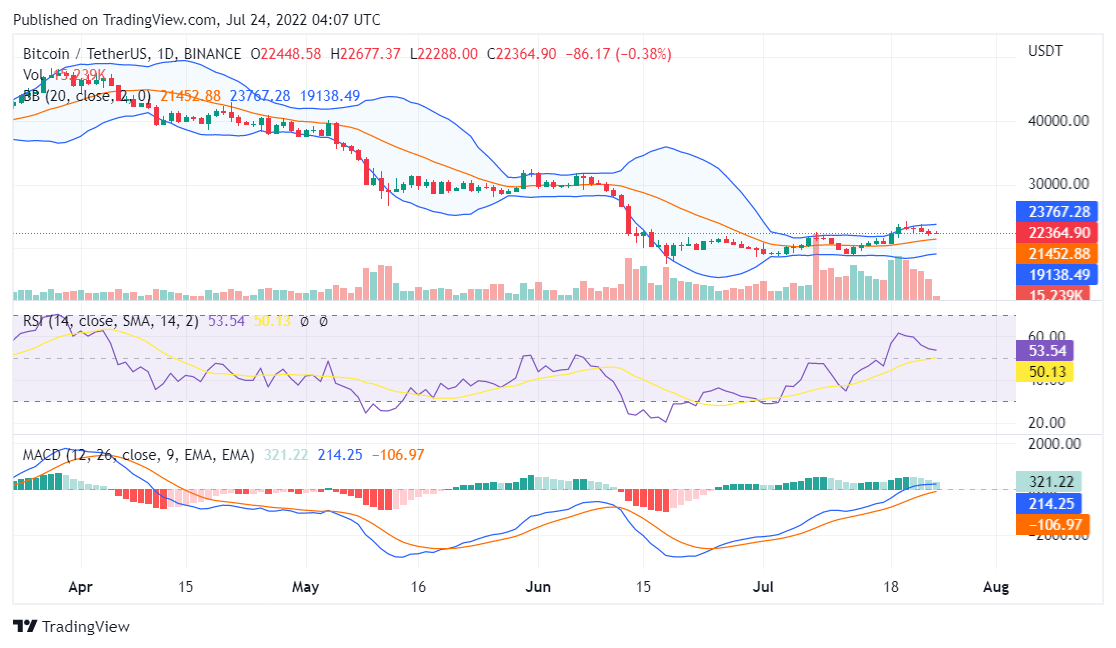 Bitcoin price analysis