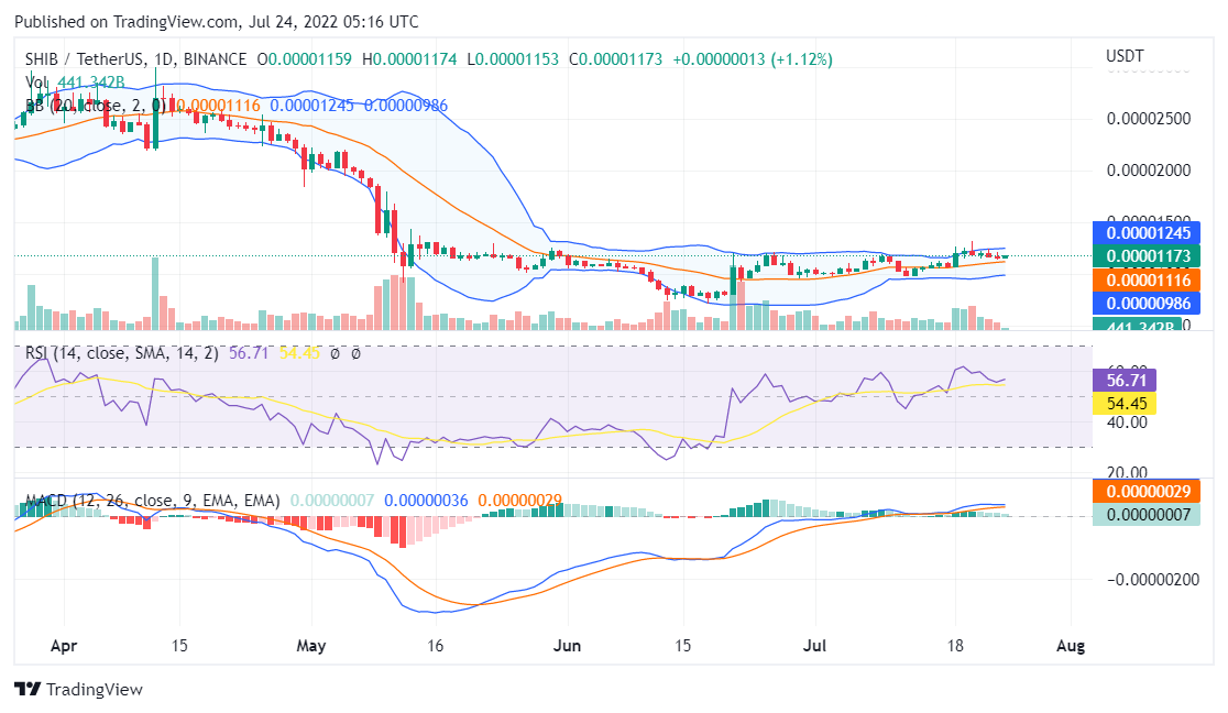 Shiba Inu price analysis