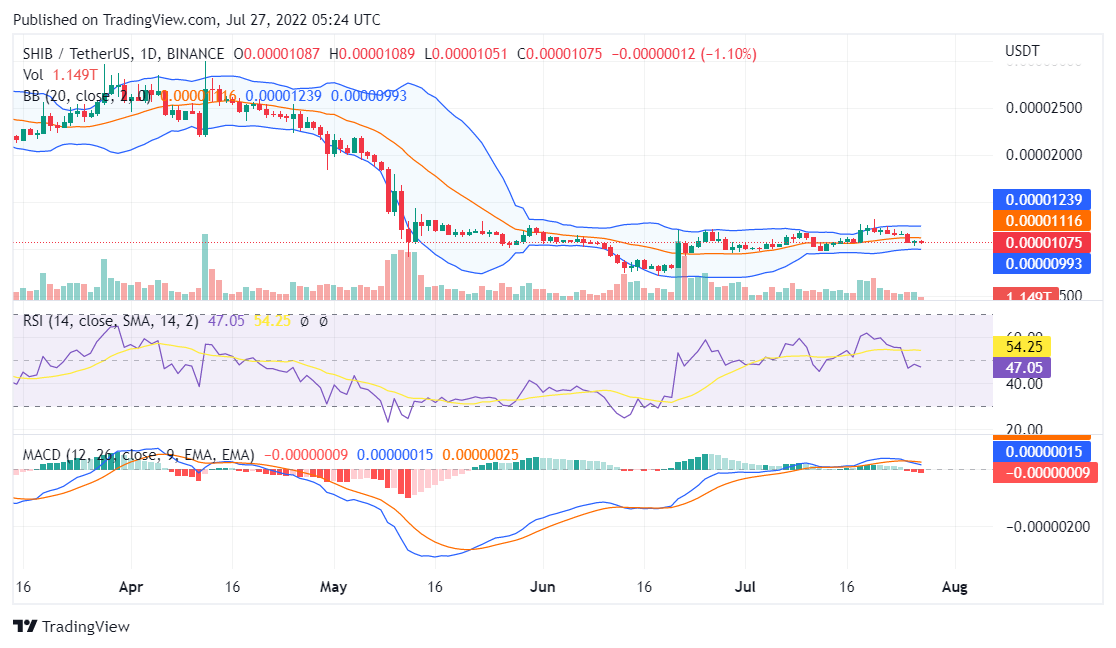 Shiba Inu price analysis