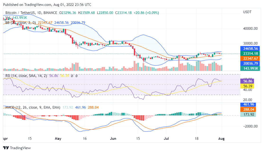 Bitcoin price analysis