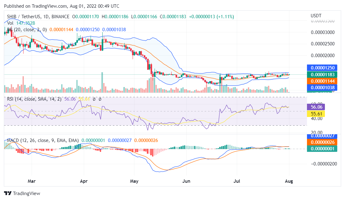 Shiba Inu price analysis