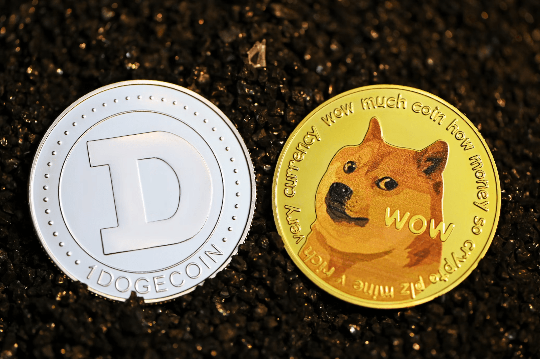 Doge coin with Doge graphic