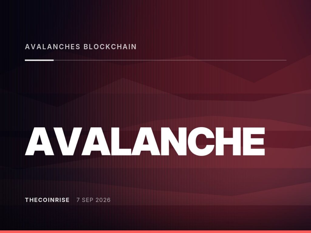 banner-image