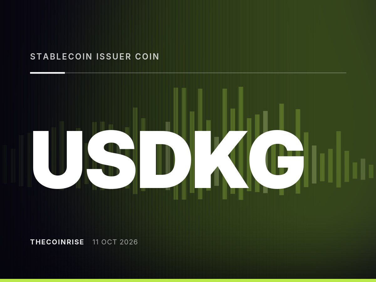 USDKG Stablecoin Issuer and Coin Nomad Exchange Face Liquidation in Kyrgyzstan